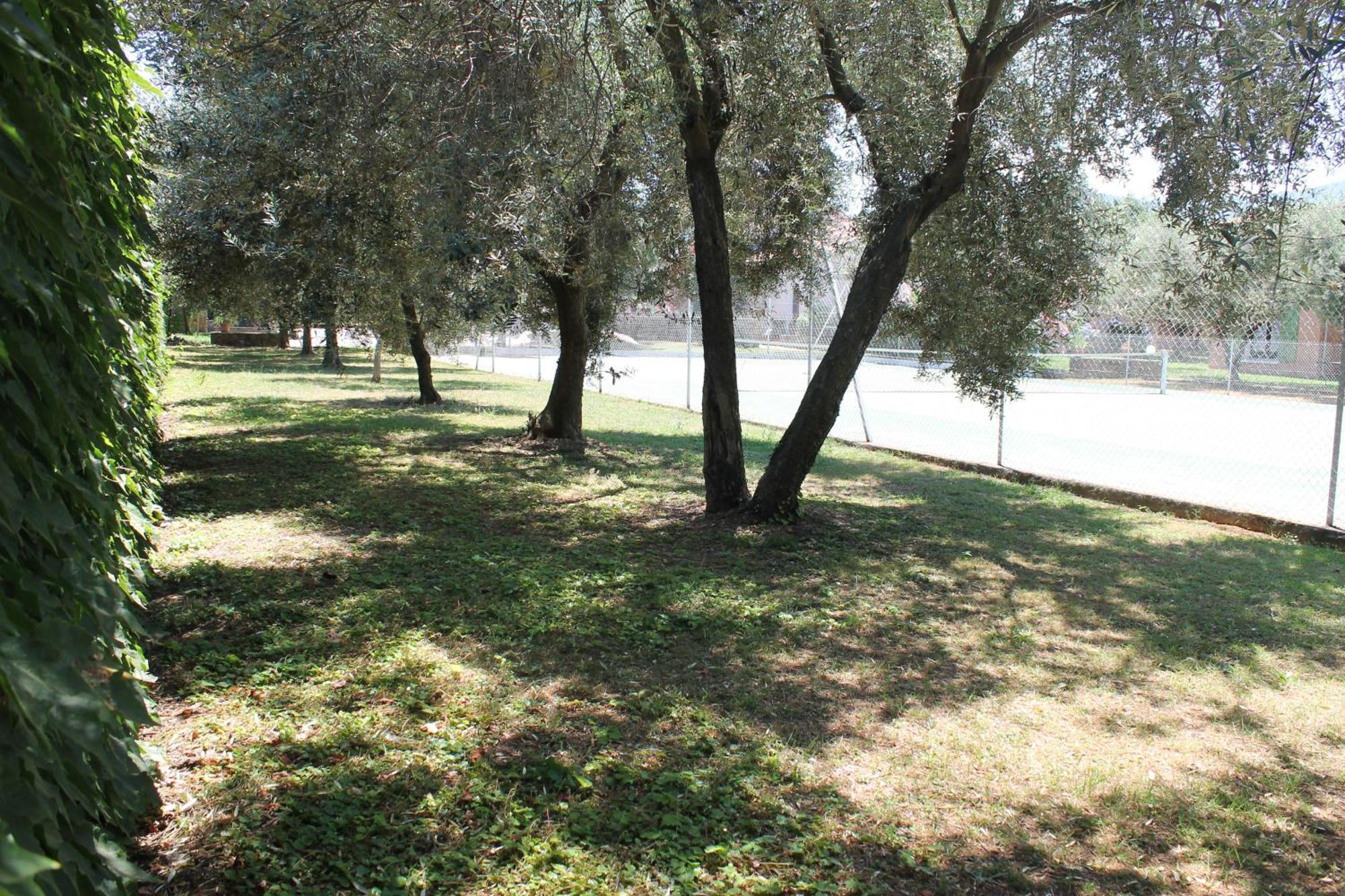 Résidence Le Clos des Oliviers Sorbo-Ocagnano Habitación foto