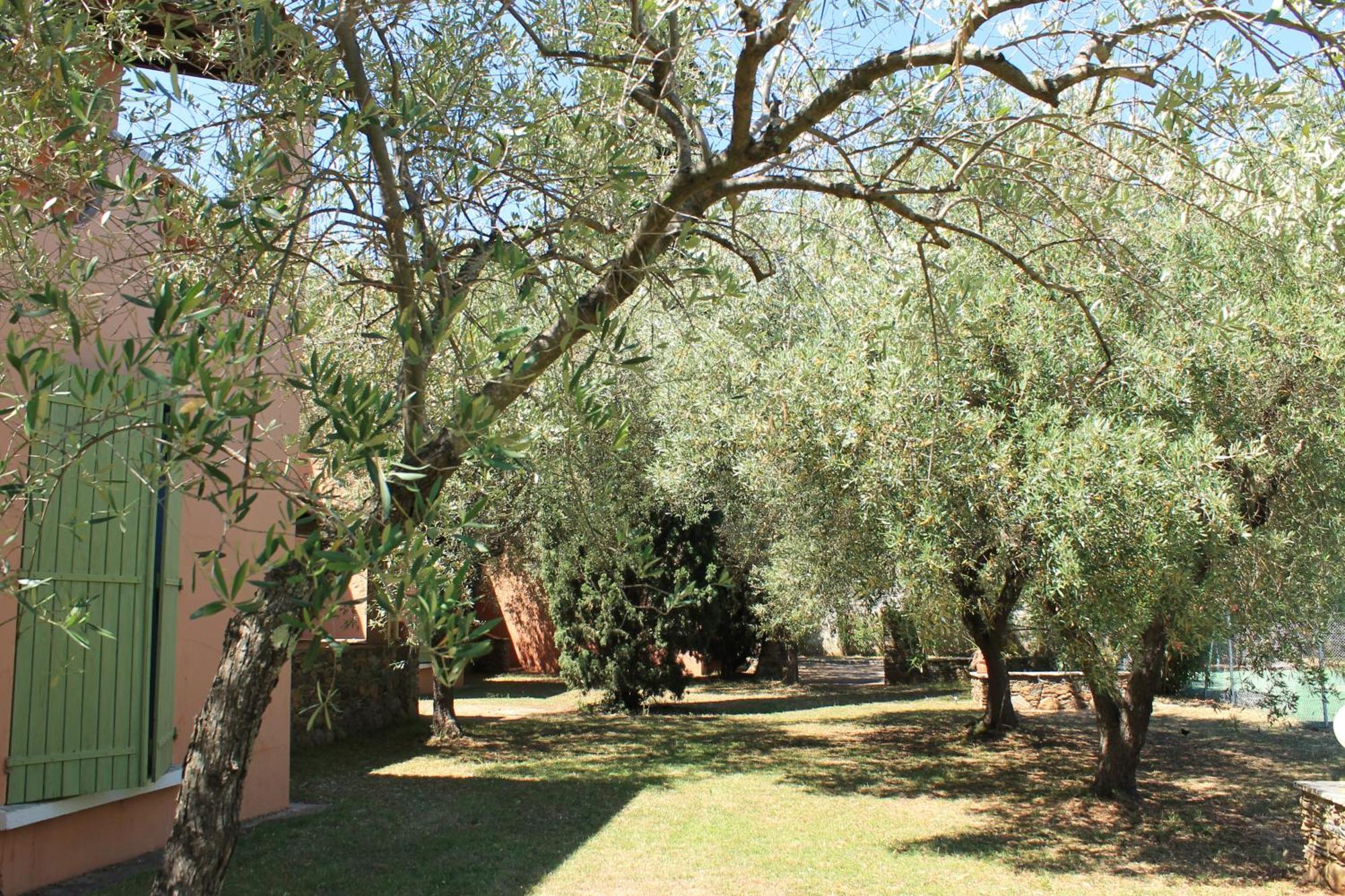 Résidence Le Clos des Oliviers Sorbo-Ocagnano Exterior foto