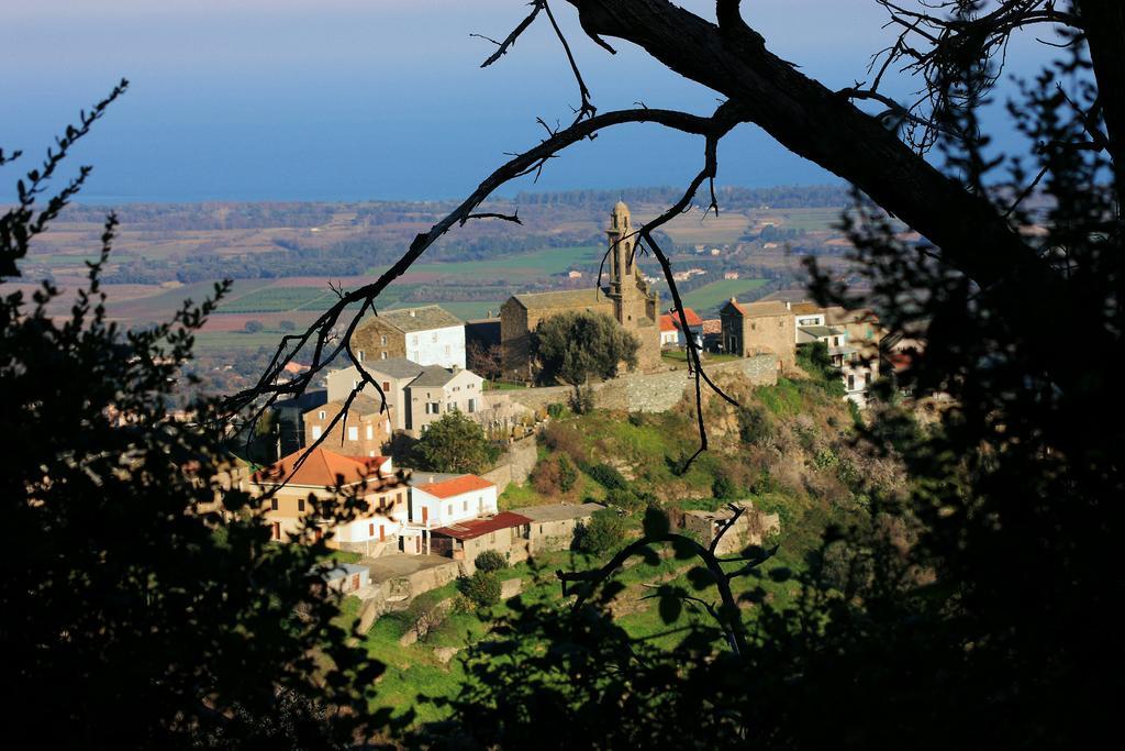 Résidence Le Clos des Oliviers Sorbo-Ocagnano Exterior foto