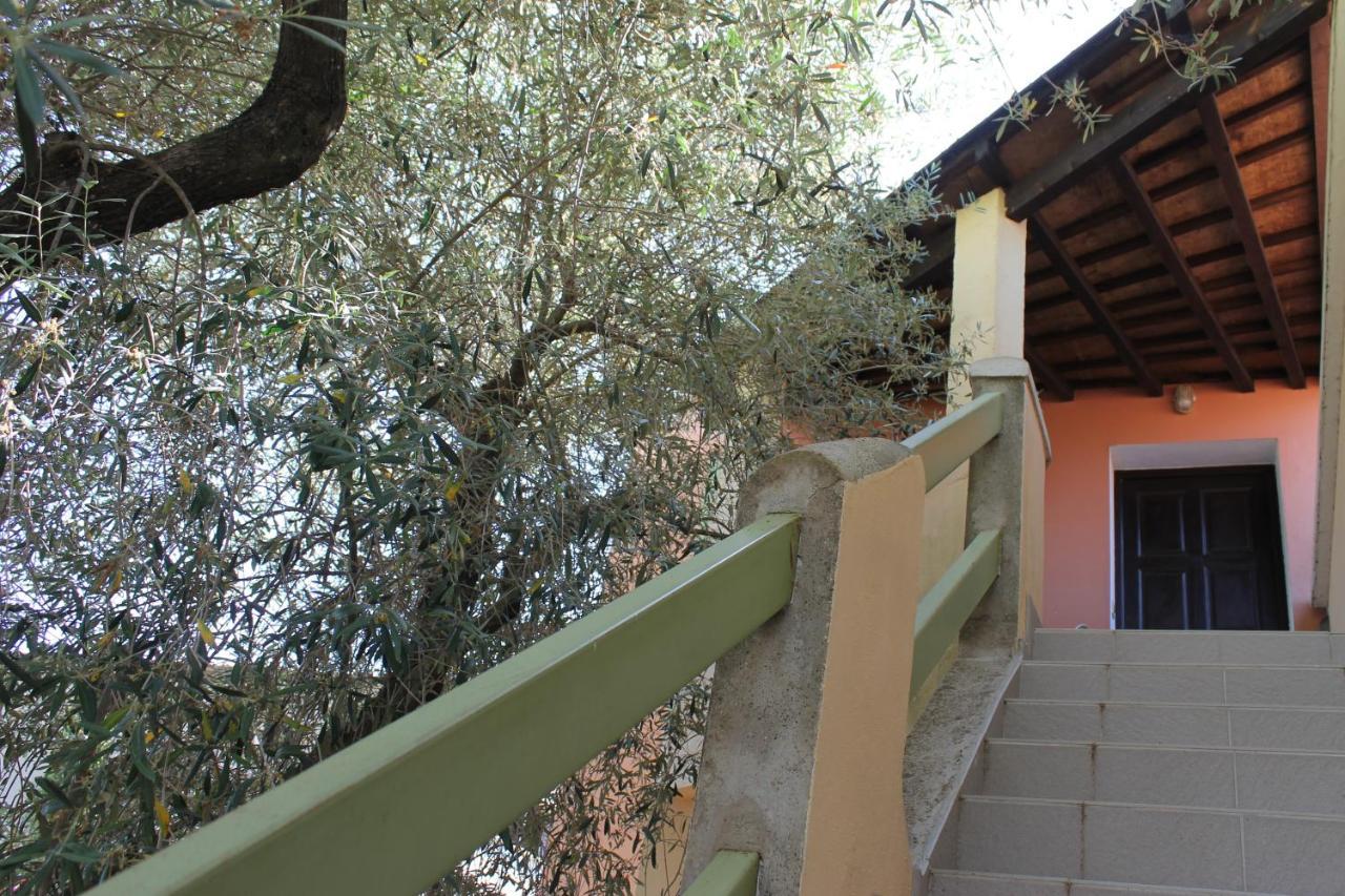Résidence Le Clos des Oliviers Sorbo-Ocagnano Exterior foto